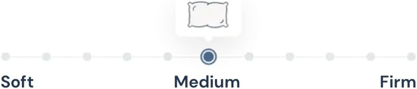 Temperloft Down Dreams Pillow King Found in Home 2 Suites by Hilton Hotels