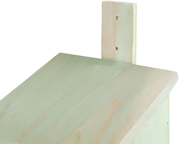 Esschert Design Build It Yourself Bird House Kits, Club Pack of 4 Wooden DIY Bluebird and Wren Houses with Precut Panels, Nails, Glue and Hammer, Kids Craft and Nature Project