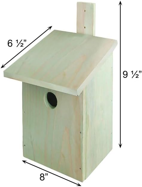 Esschert Design Build It Yourself Bird House Kits, Club Pack of 4 Wooden DIY Bluebird and Wren Houses with Precut Panels, Nails, Glue and Hammer, Kids Craft and Nature Project