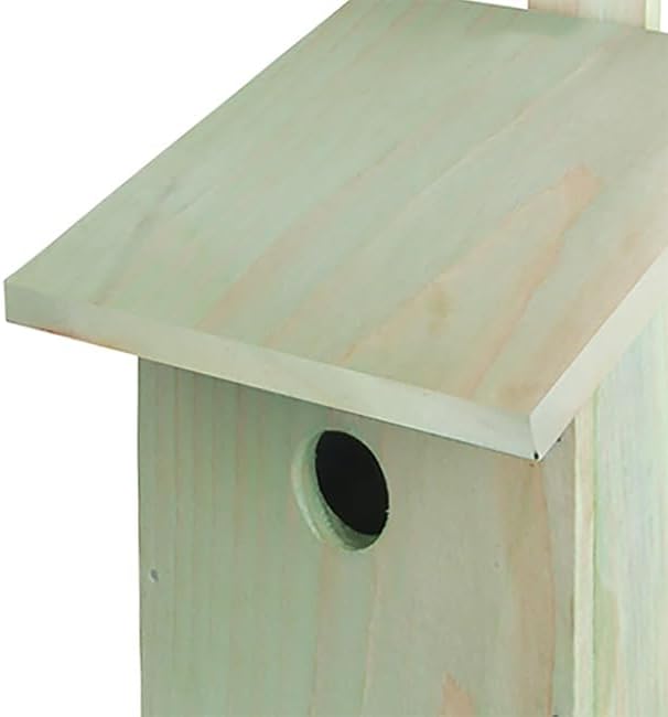 Esschert Design Build It Yourself Bird House Kits, Club Pack of 4 Wooden DIY Bluebird and Wren Houses with Precut Panels, Nails, Glue and Hammer, Kids Craft and Nature Project