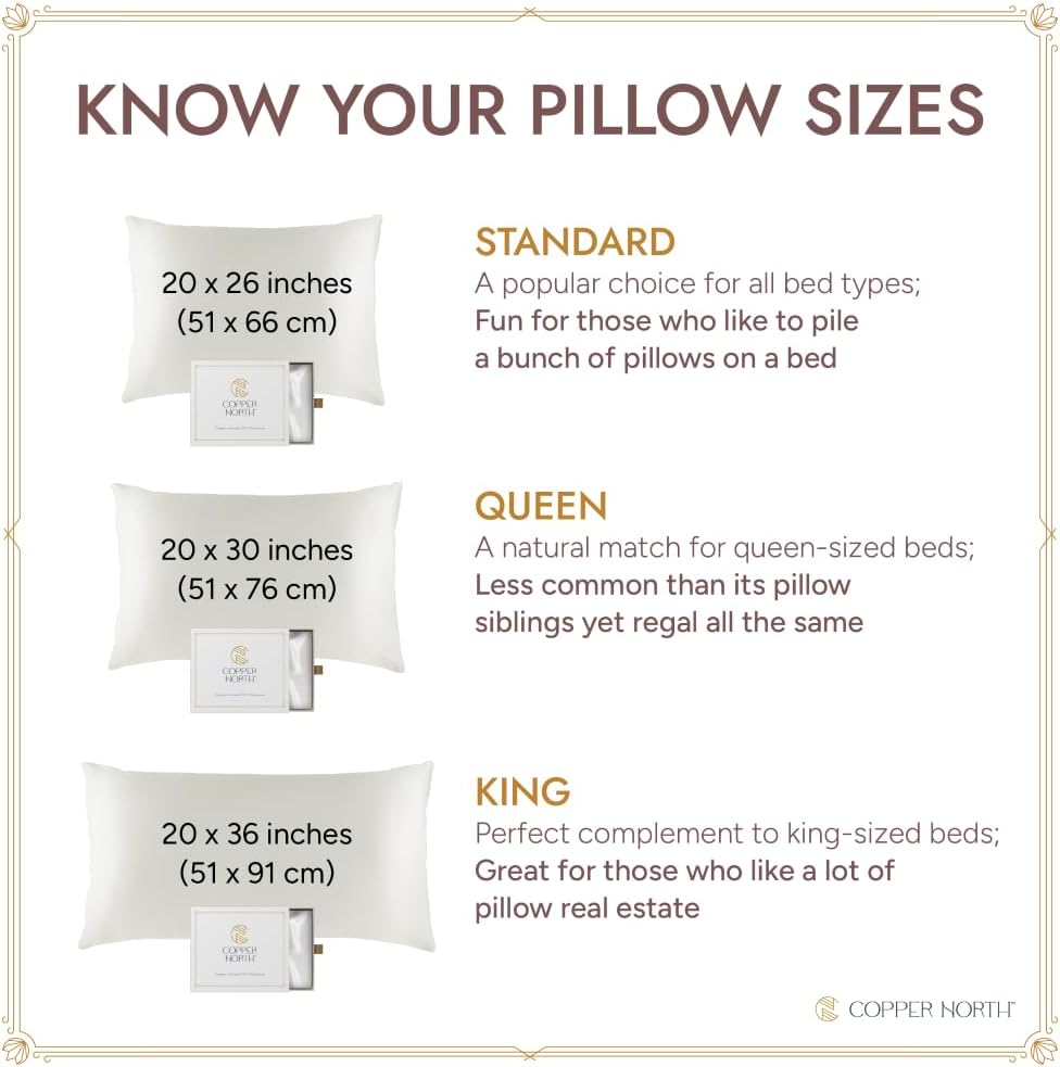 Copper Infused Pillowcase 100% Pure Silk | 22 Momme Mulberry Silk | Clearer Skin & Smoother Hair, Anti-Acne, Anti-Aging, Naturally Cooling (2 Cases, Standard, Deep Blue)