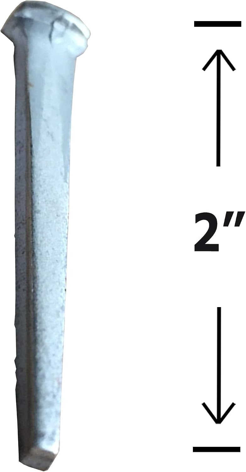 2.5'- COMMON ROSE HEAD Nails - Metallic Color - Antique rustic restoration accent nails for hanging, furniture, cabins, shutters, flooring – Decorative clavos nails – Distinct SQUARE HEAD Nail 2.5 in