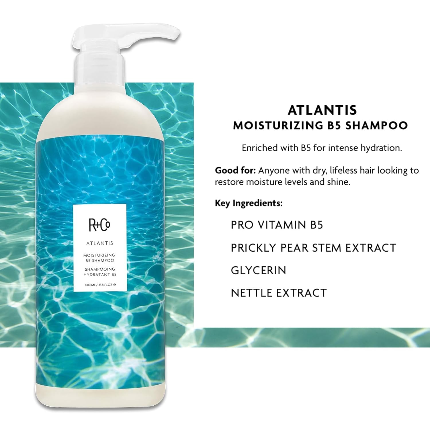 R+Co Atlantis Moisturizing B5 Shampoo and Conditioner Set – Deep Hydration & Repair for Dry, Damaged, Tired Hair – Restores Moisture, Softness & Shine – Vegan & Sulfate-Free – 33.8 oz (Pack of 2)