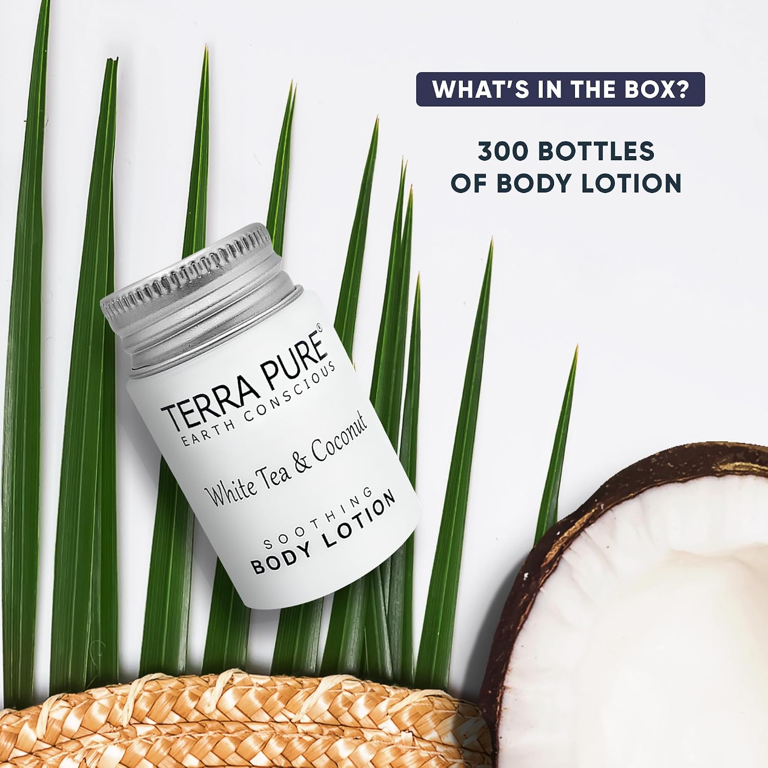 Travel Size Hotel Body Lotion 300 Count 1 oz Bottles Guest Amenities for Hotels Vacation Rentals & Short Term Rentals Paraben Free White Tea & Coconut Scent Infused with Aloe & Olive Oil | Terra Pure