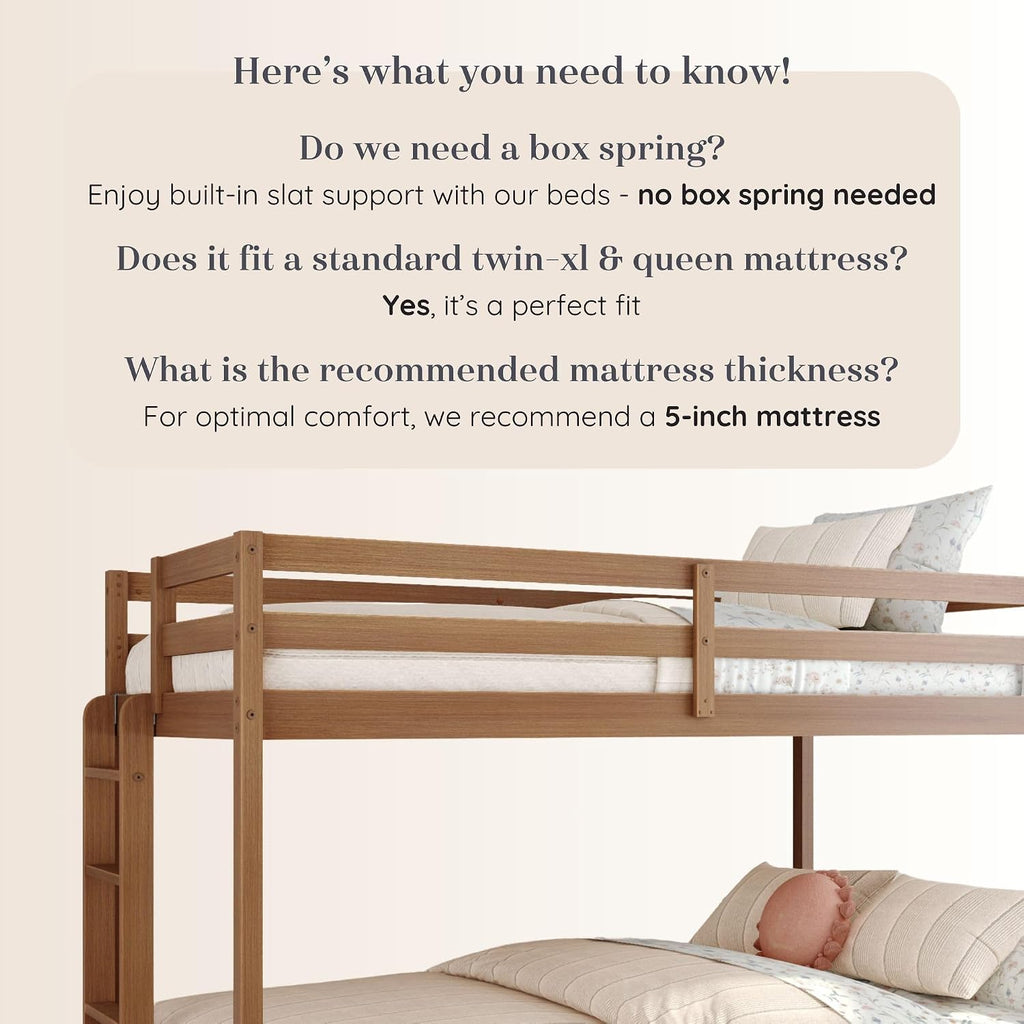 Grain & Grove Bear Twin XL Over Queen Bunk Bed, Sturdy Bunk Bed Frame for Kids, Plywood Bunk with Ladder, Guardrail, and Slats, No Box Spring Required, Oak Embossed Pecan