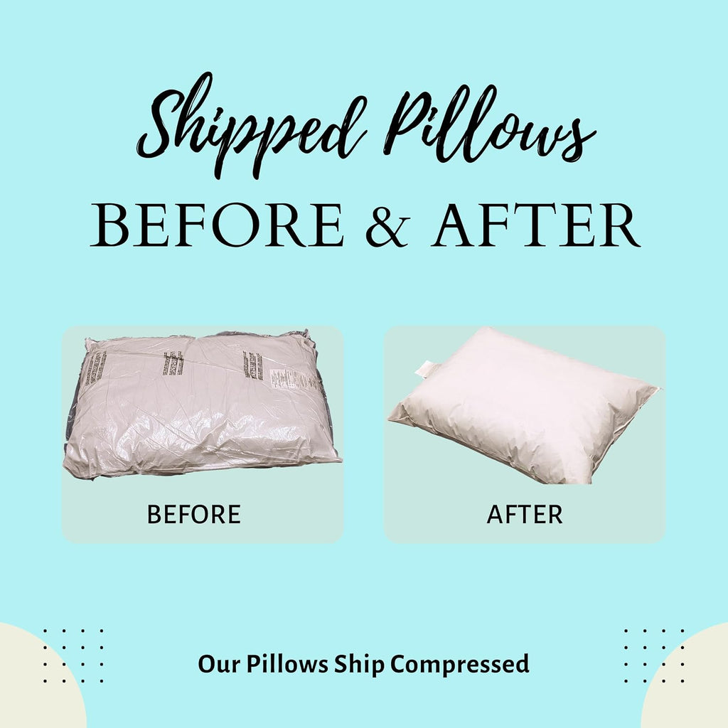 12 Pack MediCheck White Vinyl Covered Bed Pillows - Wipeable Easy Clean - Soft Low Profile Non-Fluffy Support - 20 in x 26 in