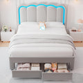 Velvet Upholstered Queen LED Bed Frame with 2 Storage Drawers and Adjustable Chic Double Wavy Headboard, Princess Platform Bed with Charing Station, Solid Wood Slats Support,No Box Spring Needed,Grey