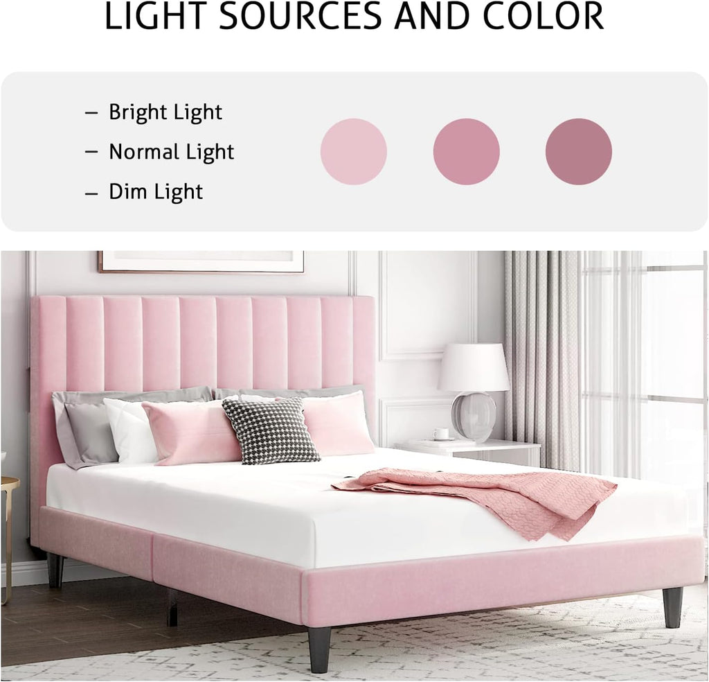 SHA CERLIN Queen Bed Frame/Velvet Upholstered Platform Bed Frame with Headboard/Strong Wood Slats Support/Mattress Foundation/No Box Spring Needed - Pink