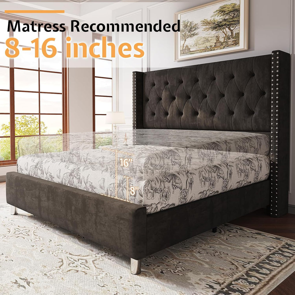 PaPaJet Upholstered Queen Bed Frame with Tall Headboard, Wingback Platform Bed, Low Profile Velvet Tufted Button, No Box Spring Needed, Easy Assembly, Black