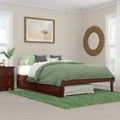 AFI Colorado Queen Size Platform Bed with Twin XL Trundle and Charging Station in Walnut