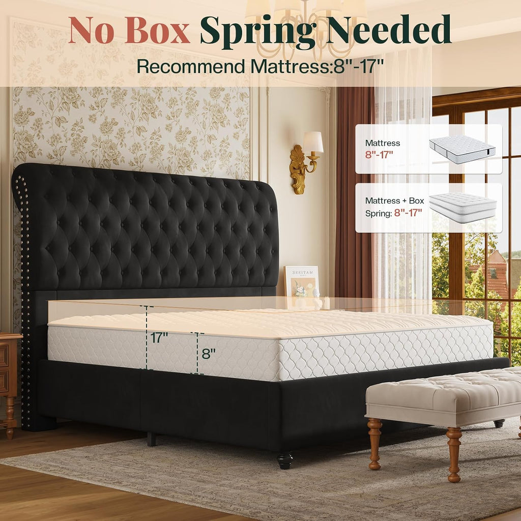 Jocisland Queen Bed Frame with 53' Tall Headboard, Velvet Upholstered Platform Sleigh Bed with Button Tufted, Solid Wood Legs, No Box Spring Needed, Easy Assembly, Black