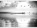 artgeist Premium Wall Mural Landscape Lake 157x110 in - Non-Woven Wallpaper Fleece Wall Decor Photo Print Picture Image Design Concrete Bird Nature Grey Like Painted c-C-10025-a-a