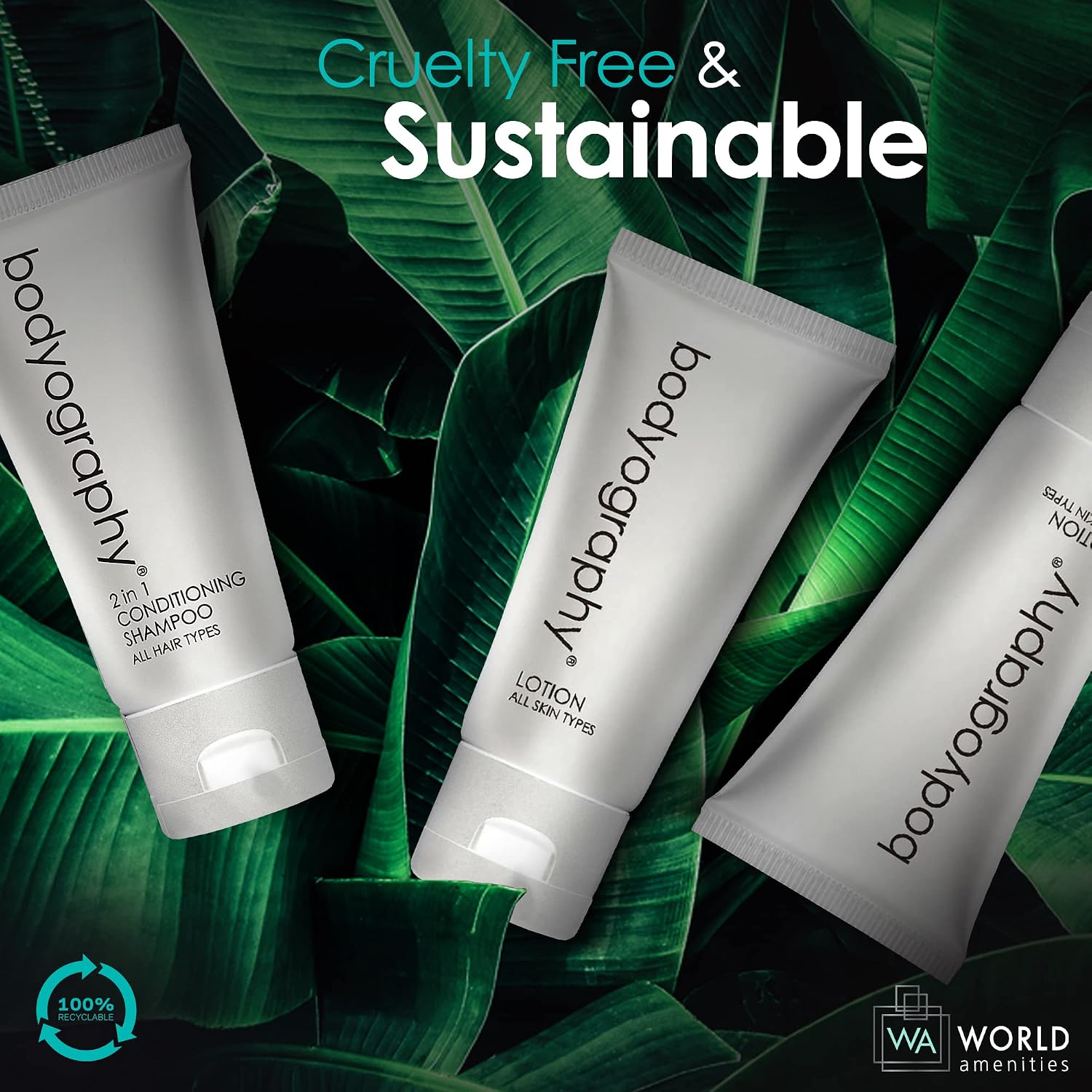 World Amenities - Bodyography blanc- Bulk Hand and Body Lotion | 300 Count | Vanilla White Tea, Mini Travel Size Toiletries (100% Recyclable Tube with Flip Top Cap) Hotel Amenities, for All Skin Types