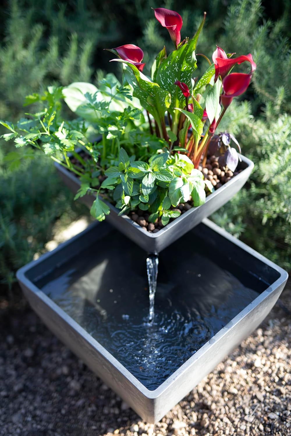 AquaSprouts Fountain: Hydroponic, Aquaponic, Water Garden Kit, Charcoal, 8 Gallons