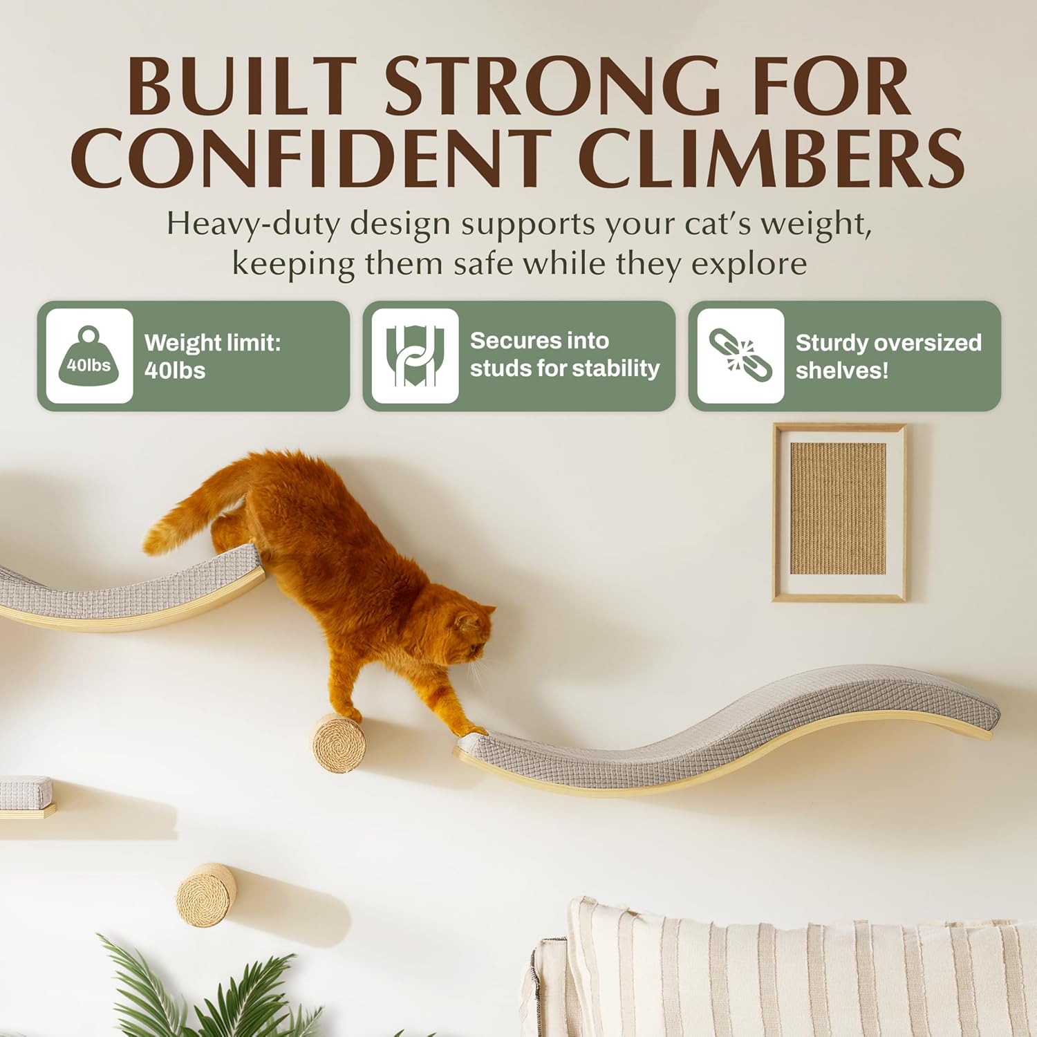 Extra Large 35.4' × 11.6' Stylish Cat Wall Shelves with Soft Cushion, Modern Wall-Mounted Cat Tree Furniture & Perch, Sturdy/Hidden Mounts, Machine Wash Cover, Sleek Design- CALLICO HAVEN Wave S-Shape