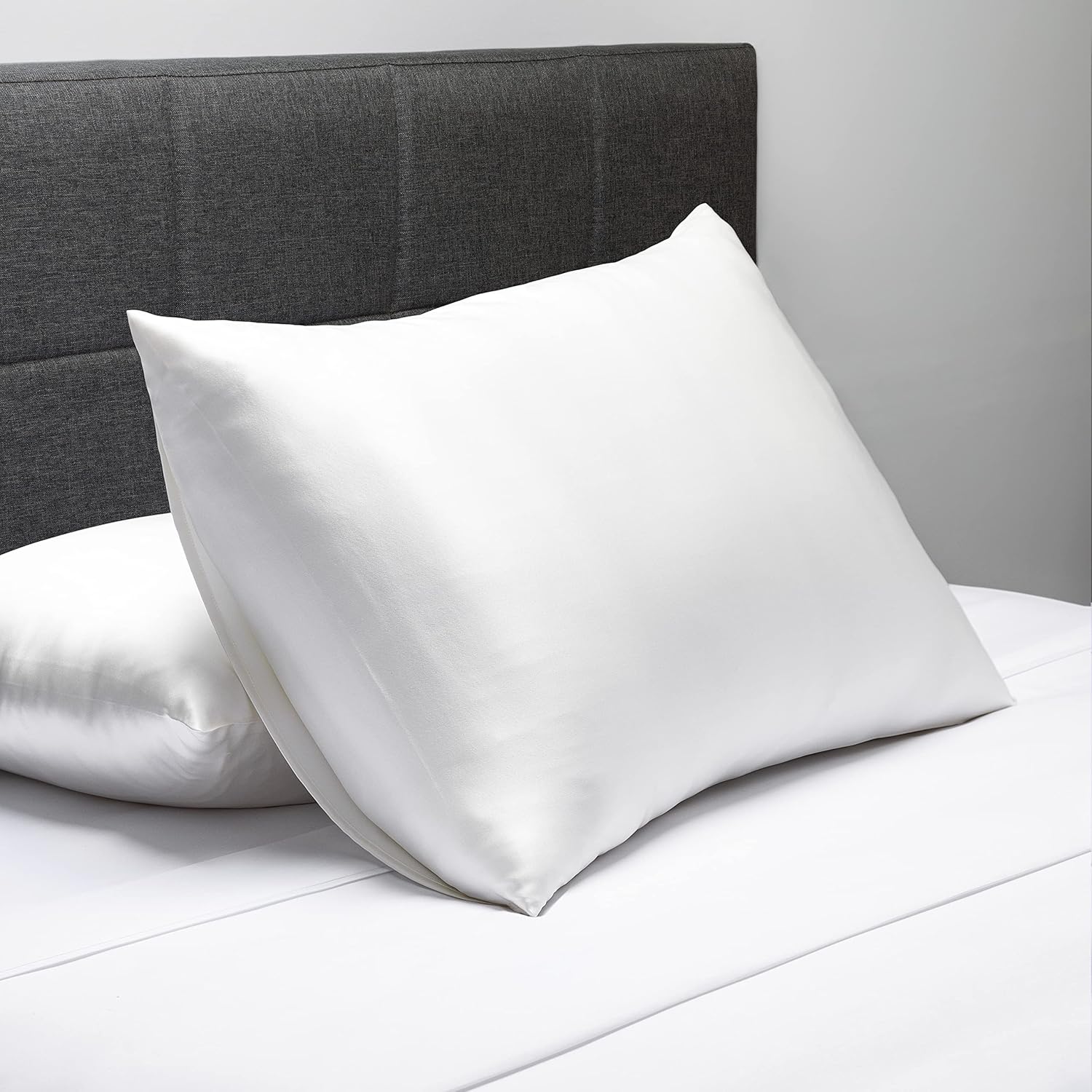 Fishers Finery 25mm 100% Pure Mulberry Silk Pillowcase 2 Pack (White Standard 2 Pack)
