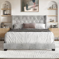 Twin Button Tufted Wingback Velvet Upholstered Bed, Silver Grey